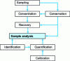 Figure 3 -  Schematic diagram of a point analysis of VOCs in the gas phase