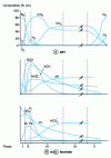 Figure 4 - Idealized evolution, as a function of time, of liquid and gaseous effluents from a household waste landfill (from )