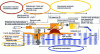 Figure 25 - Schematic diagram of the treatment [5].