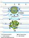 Figure 14 - Proposed treatment scheme for sites filling former water depressions