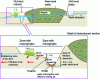 Figure 15 - Cross-section of the peripheral lagoon