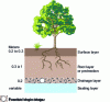 Figure 2 - Structure of a typical cover