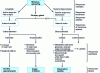 Figure 11 - Simplified diagram of the physiological mechanisms involved in a stress situation