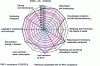 Figure 6 - Example of a radar presentation of the results of the L-BAT methodology