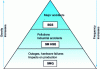 Figure 2 - Bird's pyramid
