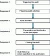 Figure 1 - Audit steps