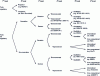 Figure 2 - Taxonomy of eco-design tools