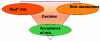 Figure 6 - Three perceptions of the same risk for a single decision