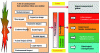 Figure 2 - Impact and vulnerability mechanism