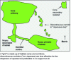 Figure 9 - Landscape elements in landscape ecology