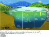 Figure 1 - Lake cross-section showing the main intralake domains (coastal zone, pelagic zone, benthic zone) and the evolution of the main forcing parameters controlling the ecology of the system (INRAE – B. Montuelle).