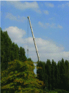 Figure 18 - Crane for road bridge installation