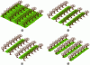 Figure 17 - Examples of spatial structures of plant
cover in viticulture: (a) total cover (row + inter-rows), (b) cover
present only on the inter-rows, (c) cover present one inter-row out
of two, (d) cover present only on the rows.