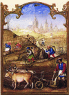 Figure 5 - Work in the vineyard: pruning the vines
and raising the soil (XVe century, painter unknown – Breviaire
Grimani. Biblioteca Marciana)