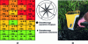 Figure 12 - (a) The 32 subplots studied (lead concentrations in mg/kg DM in brackets). Lots sampled for fungal populations are indicated by a star and those for springtails by a diamond, after Joimel et al [54], (b) in situ measurement of lead levels by X-ray fluorescence (XRF) (photo credit: P. Gaudin).