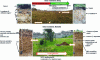 Figure 2 - Two urban wastelands studied in Nancy and Marseille