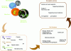 Figure 1 - Contribution of soil organisms to ecosystem functions and services (after Kibblewhite et al., 2008, Nagy et al., 2017, Cheik et al., 2019)