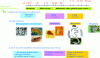 Figure 2 - Size classes of soil organisms (modified from Swift et al., 1979)