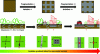 Figure 8 - Illustration of the fragmentation of the urban landscape and the diversity of man-made barriers