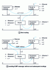 Figure 3 - Example of a redirection indication