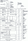 Figure 1 - Web services (according to the XML Convergence working group of the Business Internet Consortium)