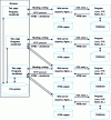 Figure 4 - Web browser operation with multiple tabs