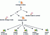 Figure 6 - Detailed set of subtasks for the "manage modes" task