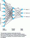 Figure 12 - Hidden-layer perceptron for word recognition