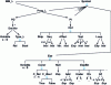 Figure 9 - Simplified representation of the L language metamodel