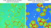 Figure 8 - Microglial cells recorded by phase-contrast microscopy