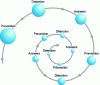 Figure 4 - Safety spiral: detection turns static protection into dynamic protection