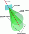 Figure 1 - Entangled
photons