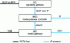 Figure 18 - MGCP architecture