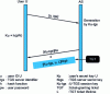 Figure 3 - AS authentication