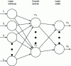 Figure 37 - Schematic diagram of the multilayer perceptron