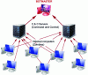 Figure 7 - Structure and principle of a BotNet (Crédit Gross)