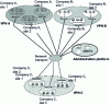 Figure 2 - VPN logic modeling