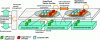 Figure 12 - Supercloud architecture