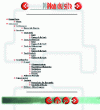 Figure 4 - International Testing site map (www.itesting.com)