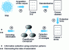 Figure 1 - Global text mining process