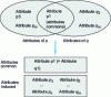 Figure 4 - Attribute classification