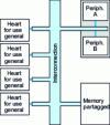Figure 3 - Homogeneous four-processor architecture