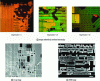 Figure 7 - Images from three techniques classically used for reverse engineering integrated circuits [2].