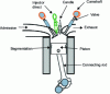 Figure 6 - Schematic diagram of a hydrogen combustion engine