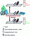 Figure 3 - Test strip principle in competitive format