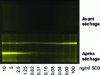 Figure 6 - The effect of drying on immunoliposome fluorescence in the strip test