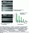 Figure 8 - Comparison of the sensitivity of different tracers for detecting Ara h6 protein by immunoblot.