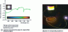 Figure 10 - First experimental demonstration of supercontinuum generation that is both white and temporally continuous (source: Lab. PhLAM/IRCICA, univ. Lille 1).