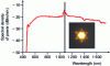 Figure 7 - Microlaser spectrum at 1,064 nm injected into the fiber (black) and spectrum measured at the fiber outlet (red) (source: Lab. PhLAM/IRCICA univ. Lille 1)