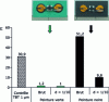 Figure 9 - Induction of Escherichia coli TBT3 bacteria with seawater from the contact chamber of the device shown in figure 8. The green paint contains no TBT as a biocide, so the bacterium's luminescence is very low; the black paint contains TBT, so the bacterium's luminescence is high (induced bacterium). The TBT control solution (positive control) verifies bacterial inducibility [22].